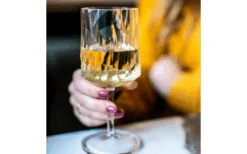 Juego De 2 Copas De Vino Berger